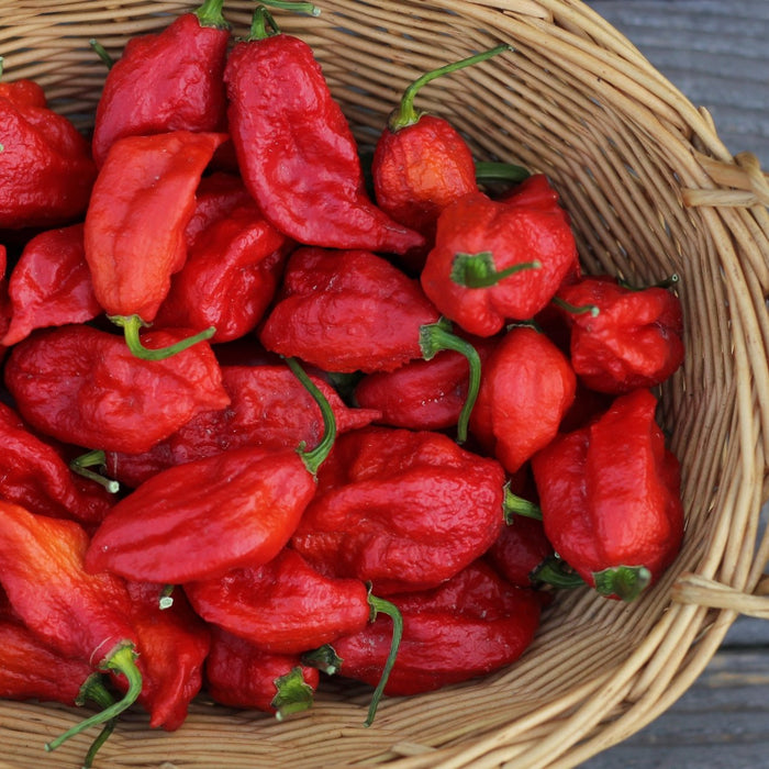 Why do humans like spicy food so much? - Heat